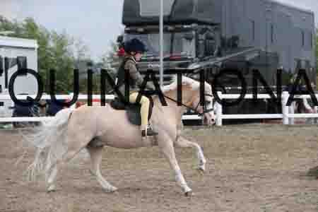 LIZ-1380