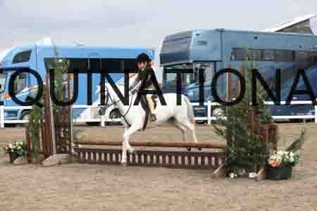 LIZ-1383