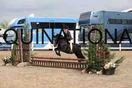 LIZ-1387