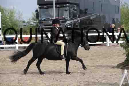 LIZ-1389