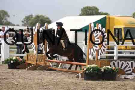 LIZ-1391