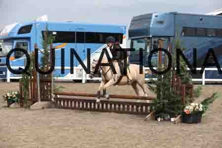 LIZ-1396