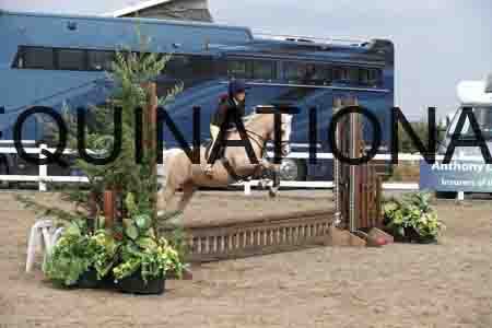 LIZ-1397