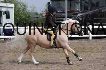 LIZ-1398