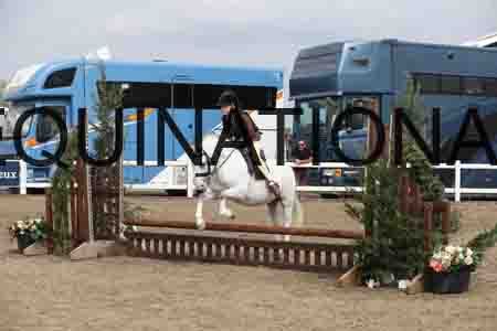 LIZ-1401
