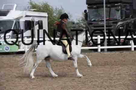 LIZ-1403