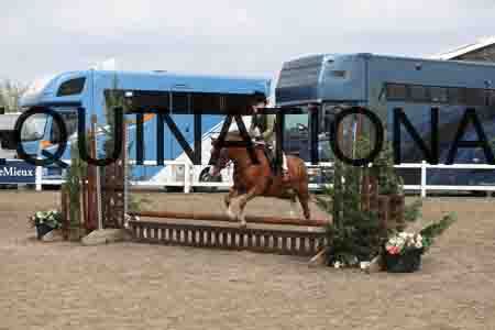 LIZ-1407