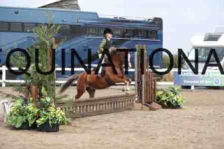 LIZ-1408
