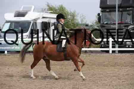 LIZ-1409