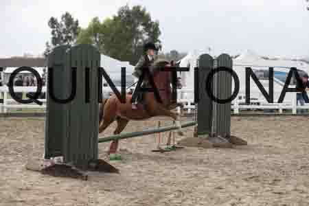 LIZ-1410