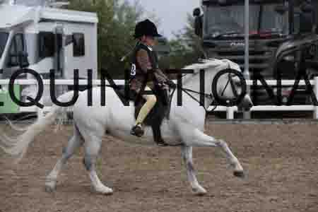 LIZ-1416