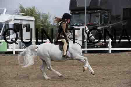 LIZ-1421