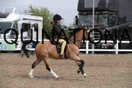 LIZ-1426