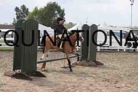 LIZ-1427