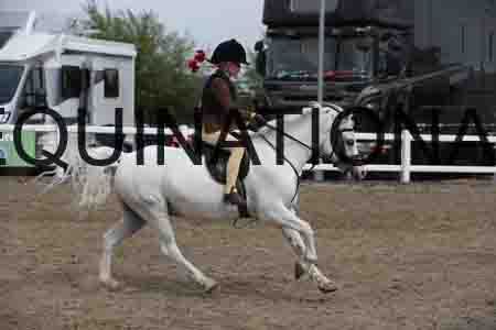 LIZ-1439