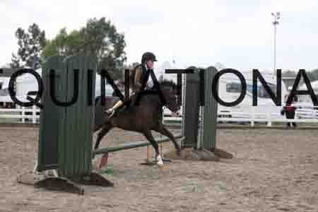 LIZ-1449