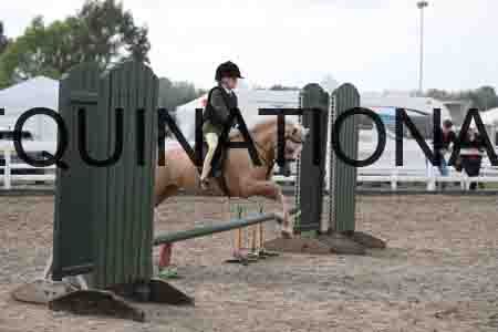 LIZ-1453