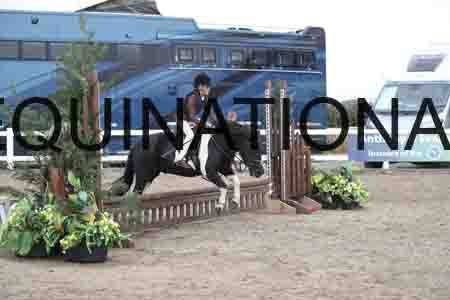 LIZ-1460