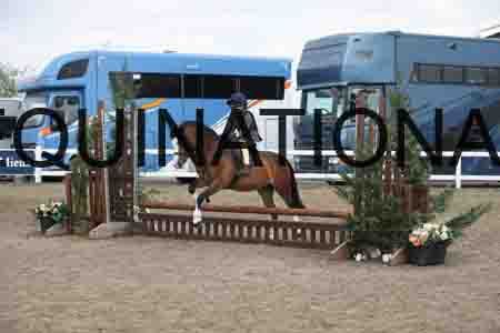 LIZ-1463