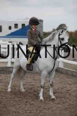 LIZ-1476