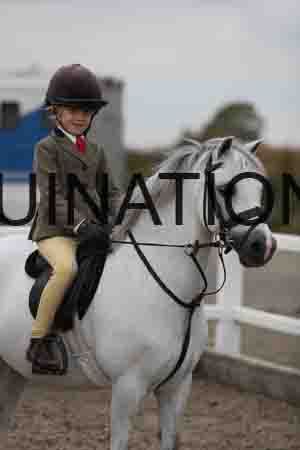 LIZ-1478