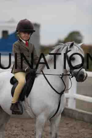 LIZ-1479