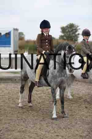 LIZ-1480