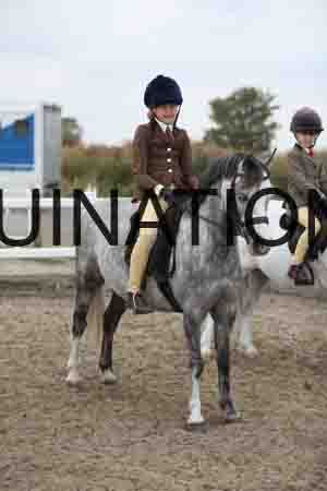 LIZ-1481