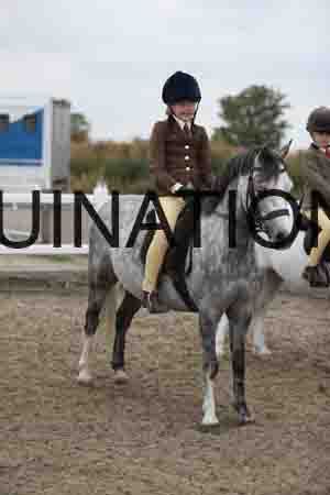 LIZ-1482