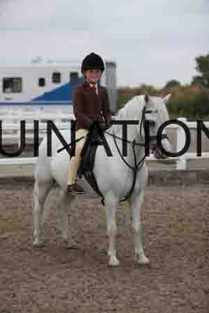 LIZ-1486