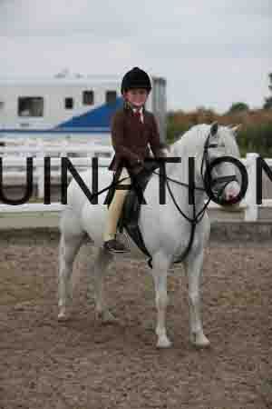 LIZ-1488