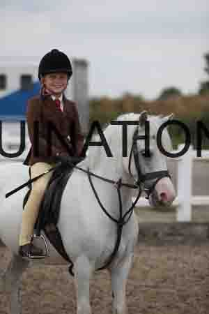 LIZ-1489