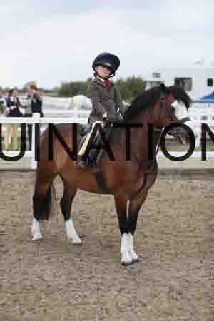 LIZ-1492