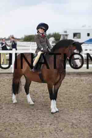 LIZ-1494