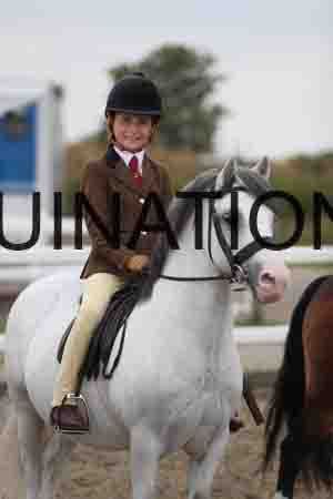 LIZ-1497