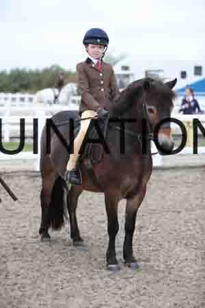 LIZ-1507