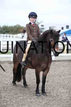 LIZ-1508