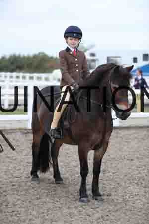 LIZ-1509