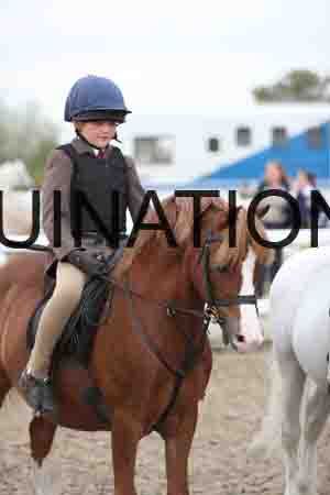 LIZ-1519