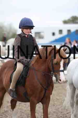LIZ-1520