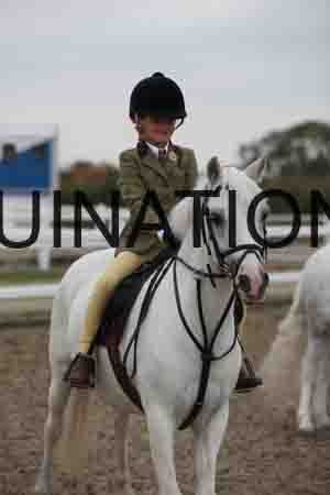 LIZ-1524