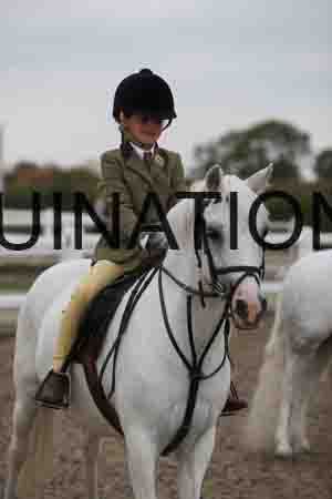 LIZ-1526
