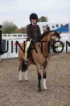 LIZ-1527