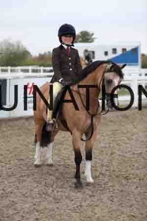 LIZ-1528