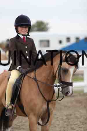 LIZ-1529