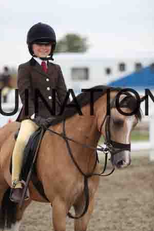 LIZ-1530