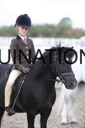 LIZ-1536