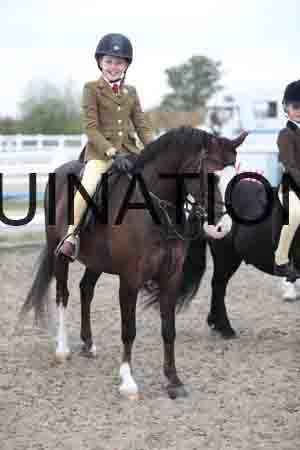 LIZ-1537