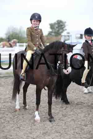 LIZ-1538