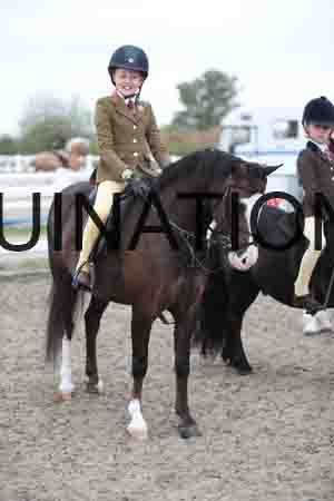 LIZ-1539